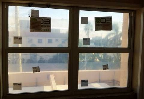 florida impact windows